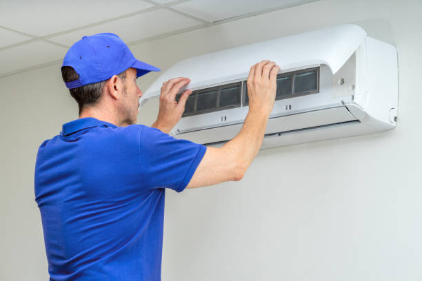 Best Air Duct Sanitizing Services  in Albany, CA